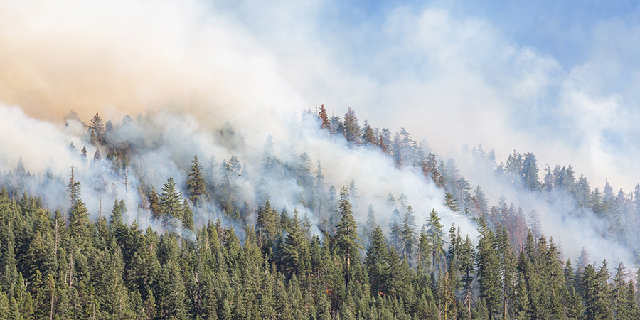 Local Wildfire Response